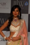 Hot Celebs at IIJW 2012 Show - 124 of 238