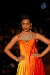 Hot Celebs at IIJW 2012 Show - 61 of 238