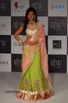 Hot Celebs at IIJW 2012 Show - 73 of 238