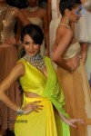 Hot Celebs at IIJW 2012 Show - 78 of 238