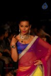 Hot Celebs at IIJW 2012 Show - 81 of 238