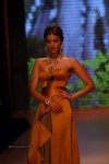 Hot Celebs at IIJW 2012 Show - 82 of 238