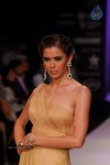 Hot Celebs at IIJW 2012 Show - 87 of 238