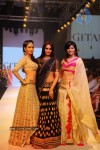 Hot Celebs at IIJW 2012 Show - 93 of 238