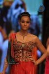 Hot Celebs at IIJW 2012 Show - 118 of 238