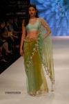 Hot Celebs at IIJW 2012 Show - 128 of 238