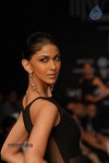 Hot Celebs at IIJW 2012 Show - 147 of 238