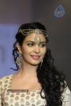 Hot Celebs at IIJW 2012 Show - 160 of 238