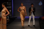 Hot Celebs at IIJW 2012 Show - 174 of 238