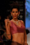 Hot Celebs at IIJW 2012 Show - 181 of 238