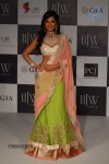 Hot Celebs at IIJW 2012 Show - 207 of 238