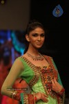 Hot Celebs at IIJW 2012 Show - 209 of 238