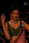 Hot Celebs at IIJW 2012 Show - 210 of 238