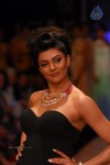 Hot Celebs at IIJW 2012 Show - 218 of 238