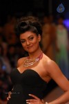 Hot Celebs at IIJW 2012 Show - 225 of 238