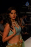 Hot Celebs at IIJW 2012 Show - 228 of 238
