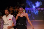Hot Celebs at IIJW 2012 Show - 231 of 238