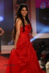 Hot Celebs at Swarovski Gems Gemvisions India 2012 Show - 63 of 91