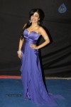 Hot TV Celebs at Indian Telly Awards 2012 - 86 of 106