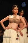 IIJW 2011 Ramp Walk Show Day 3 - 2 of 81