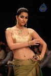 IIJW 2011 Ramp Walk Show Day 3 - 6 of 81