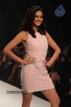 IIJW 2011 Ramp Walk Show Day 3 - 10 of 81