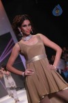 IIJW 2011 Ramp Walk Show Day 3 - 13 of 81