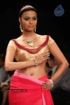 IIJW 2011 Ramp Walk Show Day 3 - 19 of 81