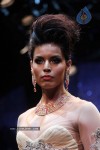 IIJW 2011 Ramp Walk Show Finale - 5 of 49