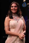 IIJW 2011 Ramp Walk Show Finale - 48 of 49