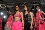 Ileana n Shruti Haasan Walks the Ramp at LFW 2014 - 18 of 34