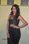 Lakme Fashion Week 2014 Press Meet - 74 of 89