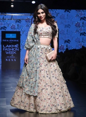 Lakme Fashion Week 2019 Photos - 23 of 36