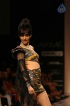 Lakme Fashion Week Day 3 All Shows - 38 of 85