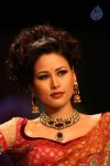 Lakme Fashion Week Day 3 All Shows - 57 of 85
