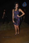 Lakme Fashion Week Day 3 Guests - 24 of 72