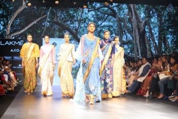 Lakme Fashion Week Summer 2017 Photos - 25 of 42