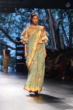 Lakme Fashion Week Summer 2017 Photos - 26 of 42