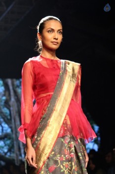 Lakme Fashion Week Summer 2017 Photos - 42 of 42