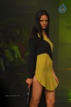 LFW Winter Festive Day 4 Shows - 13 of 109