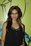 LFW Winter Festive Day 4 Shows - 80 of 109