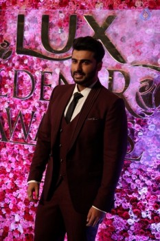 Lux Golden Awards Red Carpet 1 - 26 of 27