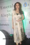 Madhuri Dixit at Emeralds for Elephants Launch - 39 of 29