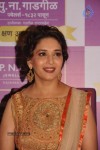 Madhuri Dixit Nene at Kshan Ala Bhagyachya 2013 Event - 16 of 75