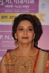 Madhuri Dixit Nene at Kshan Ala Bhagyachya 2013 Event - 41 of 75