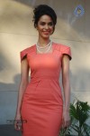 Mallika Sherawat at Fiesta with Senorita PM - 26 of 42