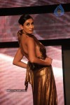Models at Blenders Pride Fashion Show - 30 of 44