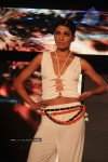 Models at Blenders Pride Fashion Show - 43 of 44