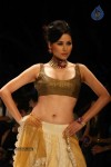 Models at IIJW 2011 Ramp Walk Show - 8 of 91