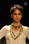 Models at IIJW 2011 Ramp Walk Show - 42 of 91